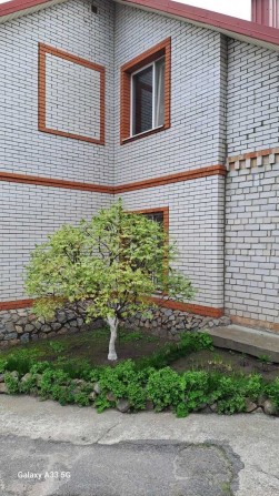 Продаж будинку в центрі міста Дніпро вул.Артема. - фото 1