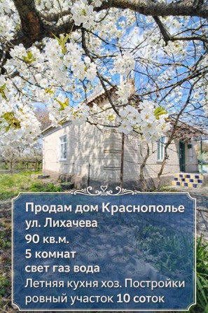 Продам Кирпичный Дом на 10 сотках в Краснополье - фото 1