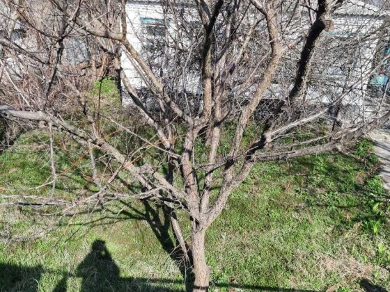 Продам дом у Днепра Таромское