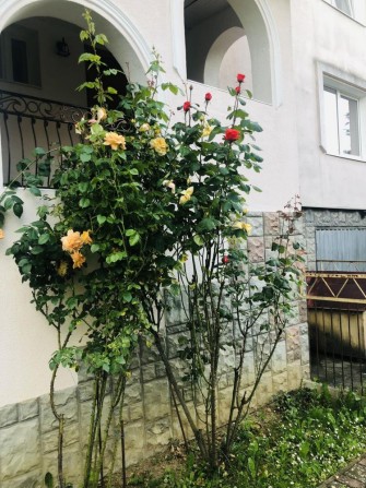 Для великої родини або під комерцію. Компотний р-н. - фото 1