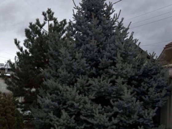 Продається будинок в м.Ужгород, р- н Нижня Червениця!Є газ! Ужгород