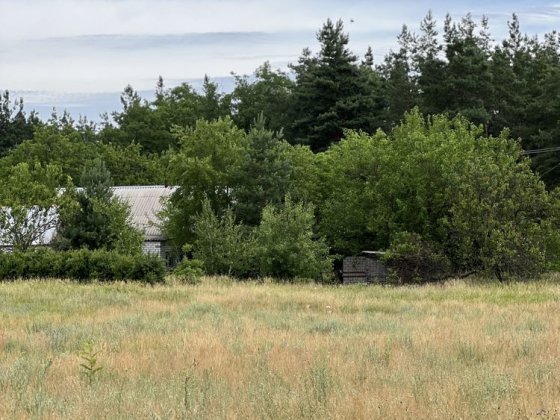 Продам дом дача в сосновом лесу собственник Дніпро