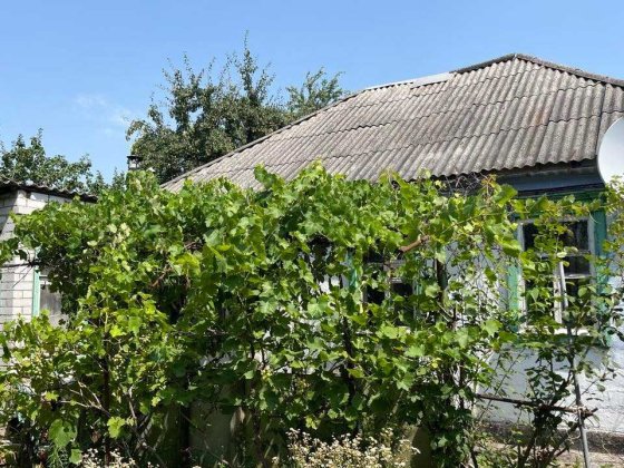 Продам дом в городе, с участком 16 соток, ул. Областная 9, АНД р- Дніпро
