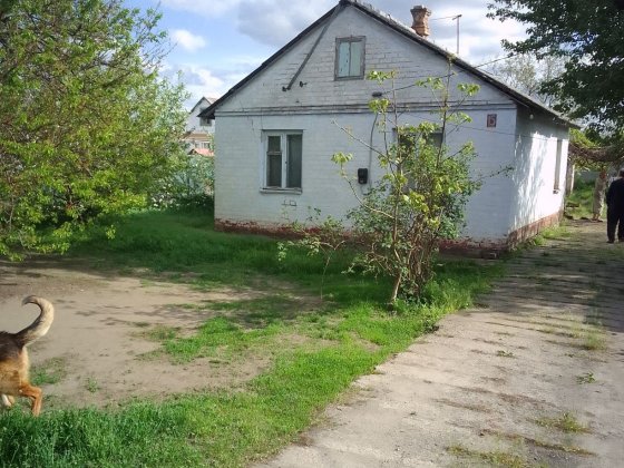 Продам дом Березановке ул.Левка Боровиковського Дніпро