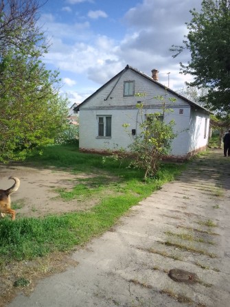 Продам дом Березановке ул.Левка Боровиковського - фото 1