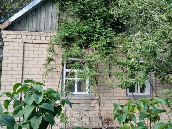 Продам дом будинок с. Бабурка, Запоріжжя Запоріжжя
