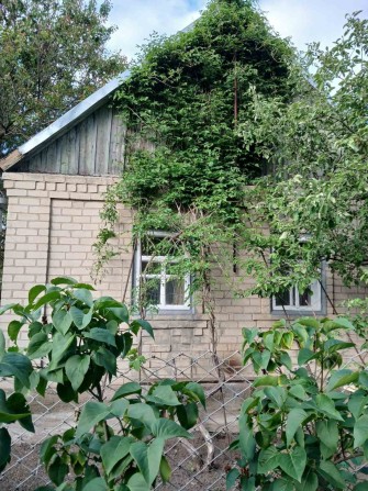 Продам дом будинок с. Бабурка, Запоріжжя - фото 1
