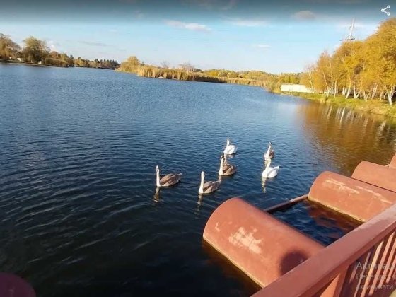 Продам домоволодіння на березі Ігренського водосховища.