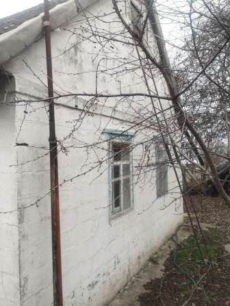 Продам дом в Диевке - фото 1