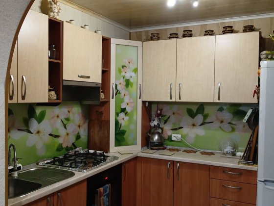 Продаж будинку 70 м к В Зелений Яр(Шевчик) Запорожье