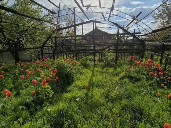 Продам будинок у Чечеловському районі Днепр