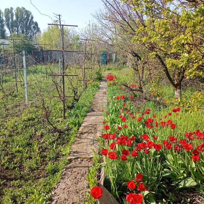 Продам дачу в місті. Обмін - фото 1