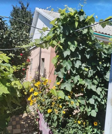 Продам будинок по вул. Василя Скляренка (п. Мирний) - фото 1