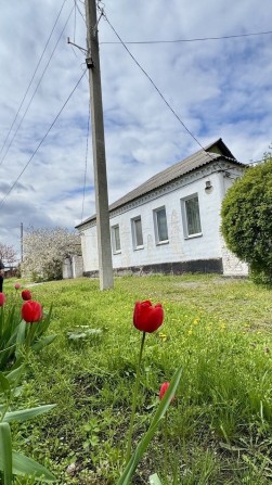Продам дом на Левом берегу. Клинчик. - фото 1