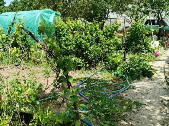 Продам дачу по улице Вишневского. Запоріжжя