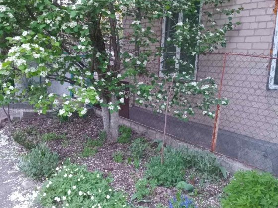 Продам часть дома пр Мазепы верх Дніпро