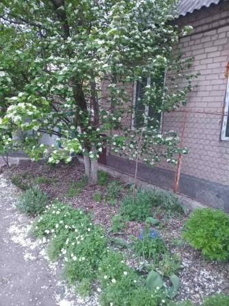 Продам часть дома пр Мазепы верх - фото 1