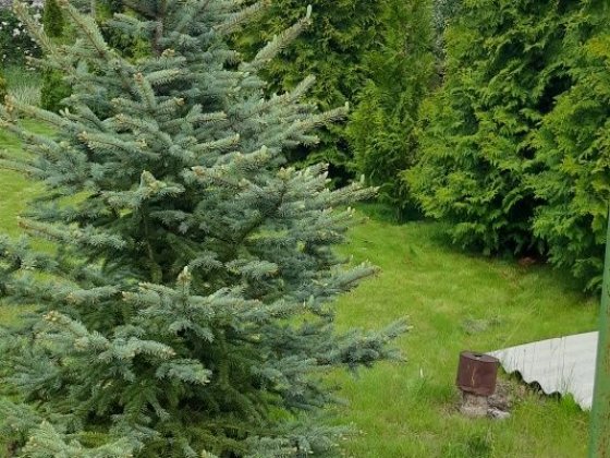 Продам дачу 10 соток Запоріжжя
