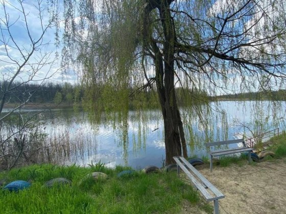 Продам дом возле ставка пос.Ясное