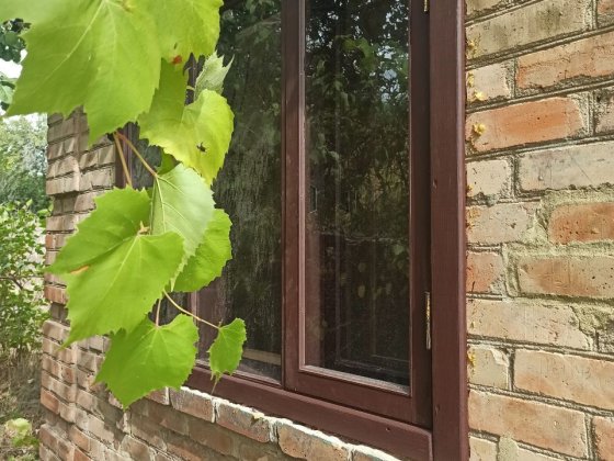 Продам срочно дачу в місті стара балашівка Кропивницький