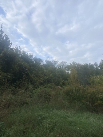 Продам дачу в городе - фото 1
