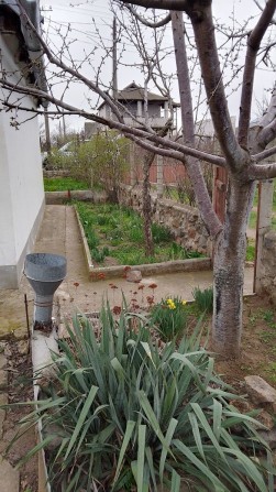 Продається дачний будинок - фото 1
