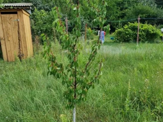 Продам ветхий дом на участ 11 сот в Холодногорском р-не Супер местоTB Харків