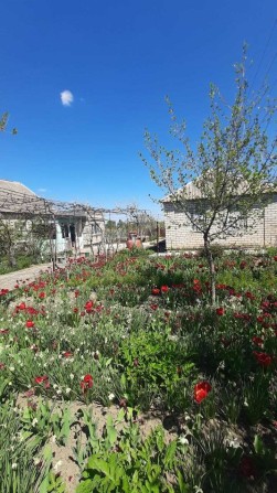Продаю дім в Мишково-Погорілове - фото 1