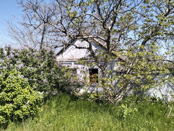 Ветхое строение,Матвеевка,ул. Матвеевская-5500$ - фото 1