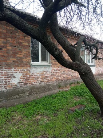 Продам отдельно стоящий дом в Харькове - фото 1