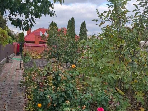 Крывая Балка! Дом на 10 сотках земли!
