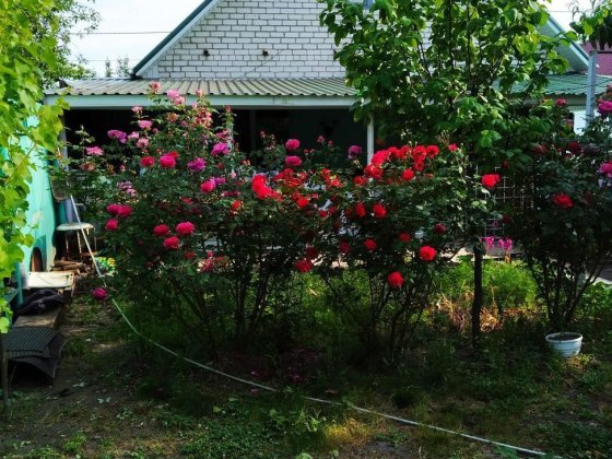 Будинок 100 м², сел.Герцена, Комунальний ринок