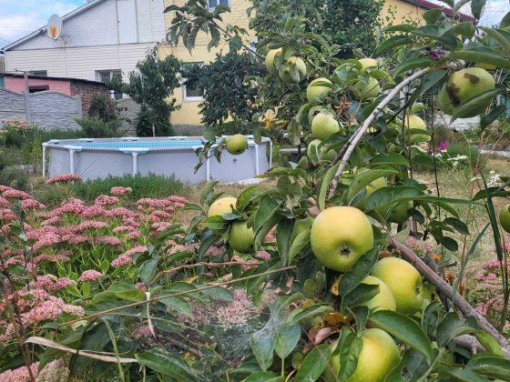 Продається будинок - 95 кв. м, 10 соток, р-н Зернової, м. Харків