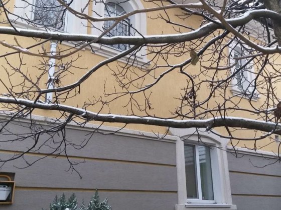 Без комисии Новых 2дома  общяя пл. 550кв.м. ул Шевченко, все коммун. городские Софиевская Борщаговка