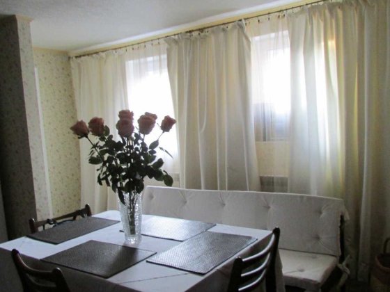 Продам дом 230м.кв. в центре с ремонтом (169184)