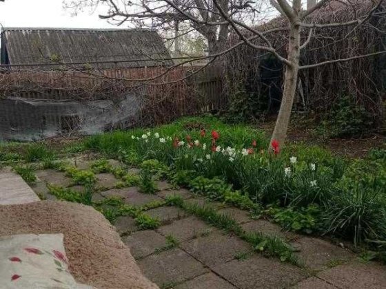 Продам дом в Черноморке на ул. Зеленая горка Одеса