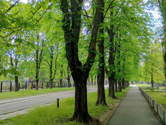 Продам 2к. квартиру. Можно СЕРТИФИКАТ. Кам'янське