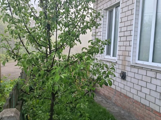 1-кімнатна квартира з індивідуальним опаленням м.Конотоп. Конотоп