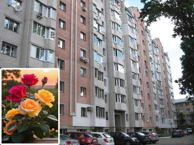 Продам однокімнатну квартиру - фото 1