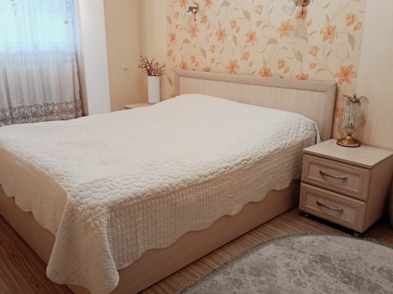 Двох кімнатна квартира на Ставиській, 65.