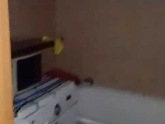 Срочно.Продам 1-но кім кВ мікрорайон Яблуневий.Деталі за телефоном Обухів