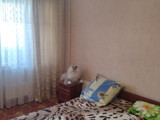 Продам 3 квартиру в місті Сміла, район Богдана. Смела