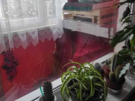 Продам квартиру в Тернівці Дніпропетровська область . Тернівка