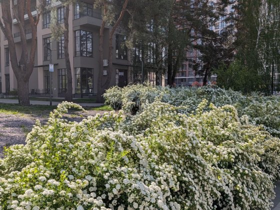 ЖК" Krona Park-2" продаж класної двокімнатної квартири. Бровари