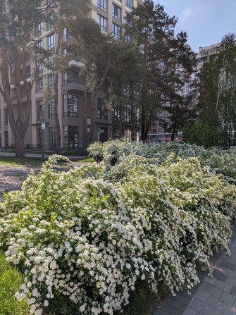 ЖК" Krona Park-2" продаж класної двокімнатної квартири. - фото 1