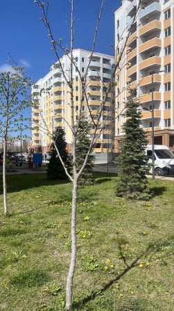2к квартира- район вокзалу - фото 1