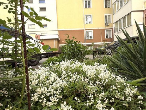 1- но кімнатна квартира з ремонтом  м. Ірпінь
