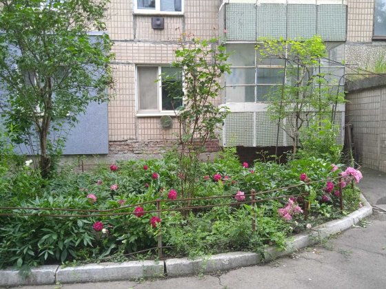 Однокімнатна квартира з автономним опаленням Кривой Рог