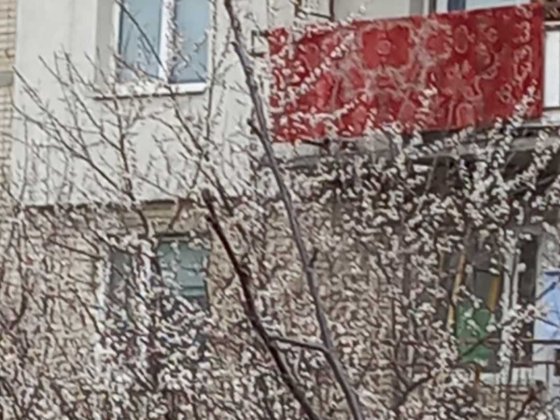 Кімната у гуртожитку Сумы