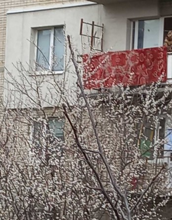 Кімната у гуртожитку - фото 1